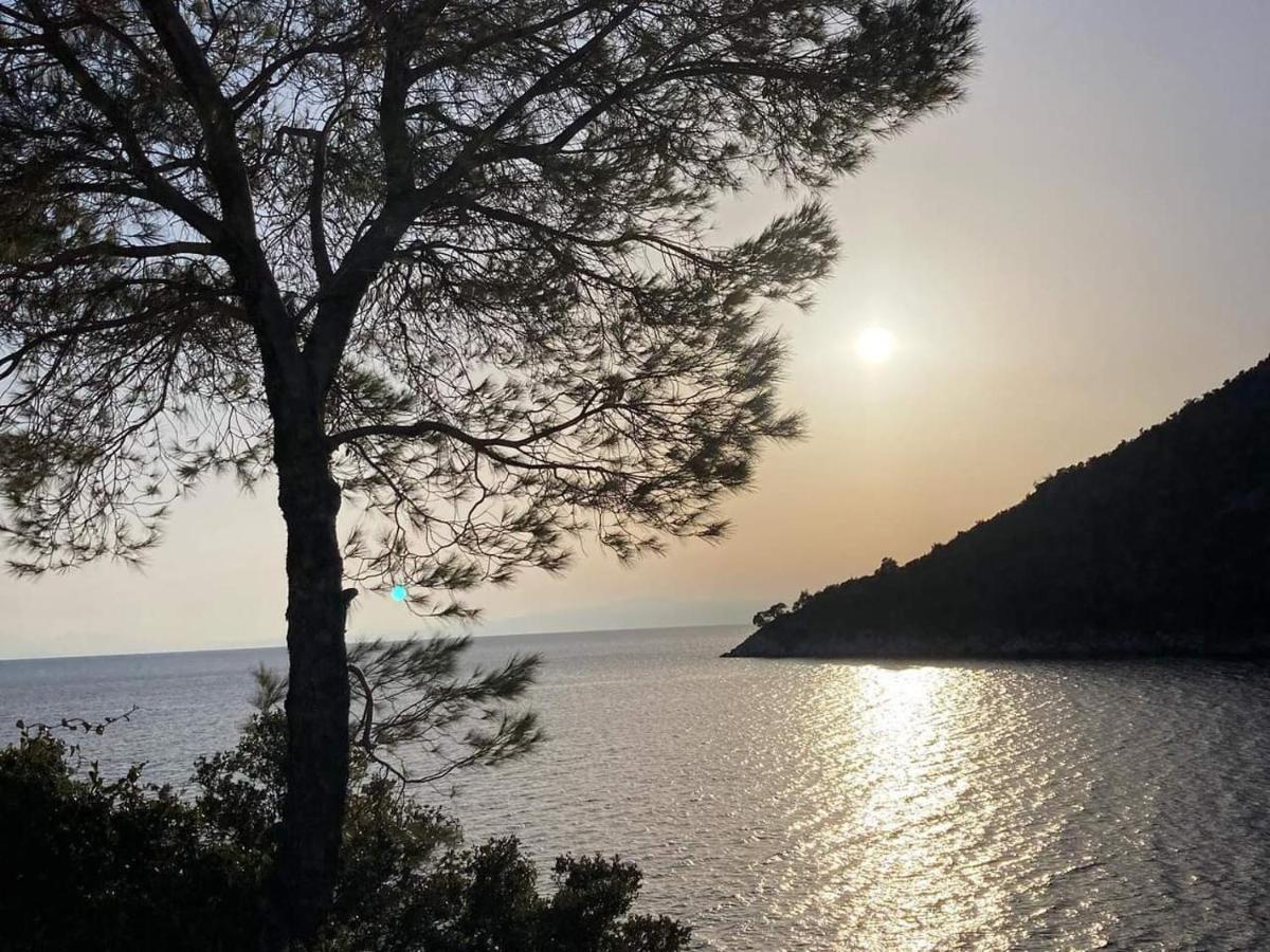 Alexandra Sofia Διαμέρισμα Στάφυλος Εξωτερικό φωτογραφία