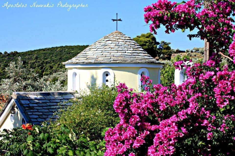 Alexandra Sofia Διαμέρισμα Στάφυλος Εξωτερικό φωτογραφία